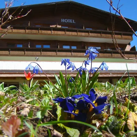Otel Bellevue 3*