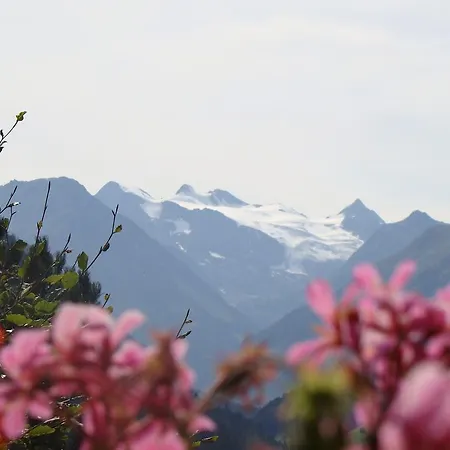 Bellevue Neustift im Stubaital